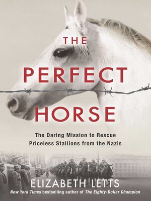 cover image of Perfect Horse